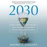 2030: How Today's Biggest Trends Will Collide and Reshape the Future of Everything, Mauro F. Guillen