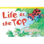 Life at the Top Audiobook, Sharon Callen