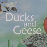 Ducks and Geese, James & Luke Jubran
