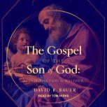 The Gospel of the Son of God An Introduction to Matthew, David R. Bauer