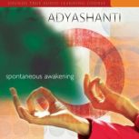 Spontaneous Awakening, Adyashanti