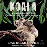 Koala, Danielle Clode