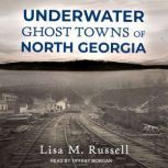 Underwater Ghost Towns of North Georgia, Lisa M. Russell