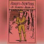 Adrift in New York, Horatio Alger, Jr.