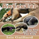Anteater Photos and Fun Facts for Kids, Isis Gaillard