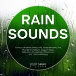 Rain Sounds, Sound Therapy Studios