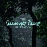 The Goodnight Forest Meditation, Angie Caneva