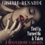 Tied Up, Turned On and Taken 3 BDSM Erotica Shorts, Giselle Renarde