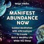 Manifest Abundance Now Guided Meditation With Affirmations To Create Rich & Wealthy Life While You Sleep, Reigo Vilbiks