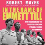 In the Name of Emmett Till, Robert H. Mayer