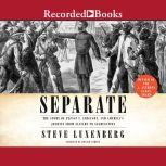 Separate The Story of Plessy V. Ferguson, and America's Journey from Slavery to Segregation, Steve Luxenberg