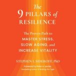 The 9 Pillars of Resilience, Dr. Stephen I. Sideroff