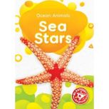 Sea Stars, Derek Zobel