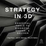 Strategy in 3D, Rene M. Bakker