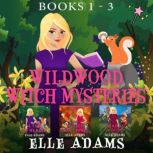 Wildwood Witch Mysteries Books 13, Elle Adams