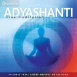 True Meditation, Adyashanti