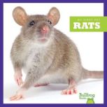 Rats, Vanessa Black