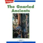 The Gnarled Ancients, Terry Reid