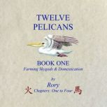 Twelve Pelicans, Rory