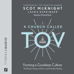 A Church Called Tov Forming a Goodness Culture That Resists Abuses of Power and Promotes Healing, Scot McKnight