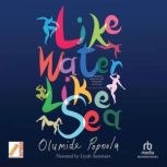 Like Water Like Sea, Olumide Popoola