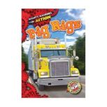 Big Rigs, Rebecca Pettiford