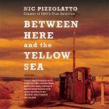 Between Here and the Yellow Sea, Nic Pizzolatto