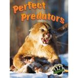 Perfect Predators, Joanne Mattern