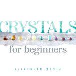 Crystals for Beginners, Elizabeth Muniz