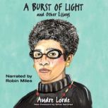 A Burst of Light and Other Essays, Audre Lorde