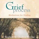 The Grief Process, Ondrea Levine