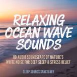 Relaxing Ocean Wave Sounds, Sleep Sounds Sanctuary