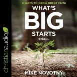 Whats Big Starts Small, Mike Novotny