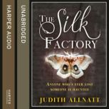 The Silk Factory, Judith Allnatt