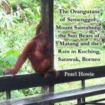 The Orangutans of Semenggoh, Mount Santubong, the Sun Bears of Matang and the Rain in Kuching, Sarawak, Borneo, Pearl Howie
