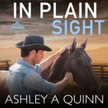 In Plain Sight, Ashley A. Quinn