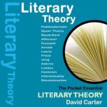 Literary Theory The Pocket Essential Guide, David Carter
