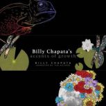 Billy Chapatas Accents of Growth, Billy Chapata