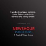 Faced with Outsized Stresses, these B..., PBS NewsHour