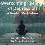 Overcoming Feelings of Depression A ..., Brian Pederson