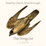 The Peregrine, J. A. Baker