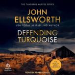 Defending Turquoise, John Ellsworth
