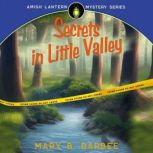 Secrets in Little Valley, Mary B. Barbee