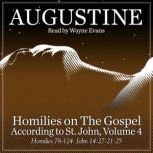 Homilies on the Gospel According to S..., Saint Augustine