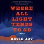 Where All Light Tends to Go, David Joy