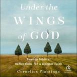 Under the Wings of God, Cornelius Plantinga