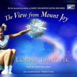 The View from Mount Joy, Lorna Landvik