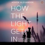 How The Light Gets In, Ashok Alexander