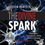 The Divine Spark, Graham Hancock