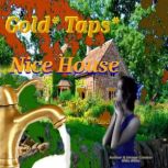 Gold Taps  Nice House, Mike Blake